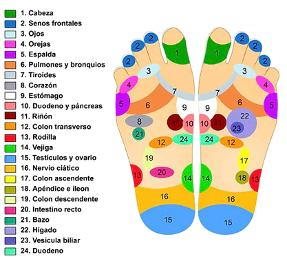 Sandalias Masajeadoras de Acupresión Terapéuticas 👣 FrescoPies