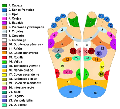 Sandalias Masajeadoras de Acupresión Terapéuticas 👣 FrescoPies