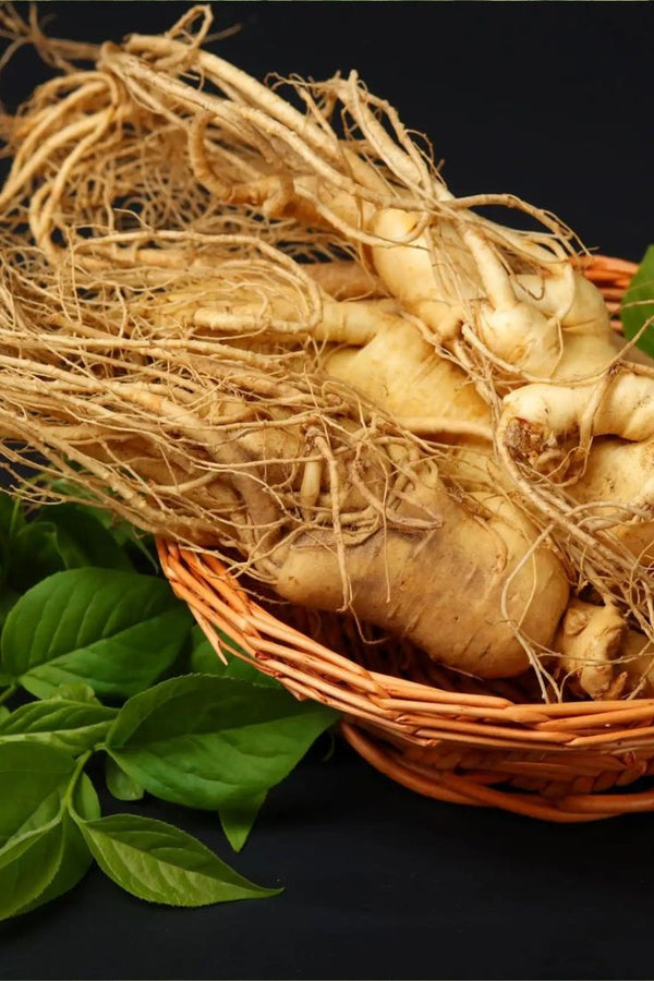 Berberina + Panax Ginseng